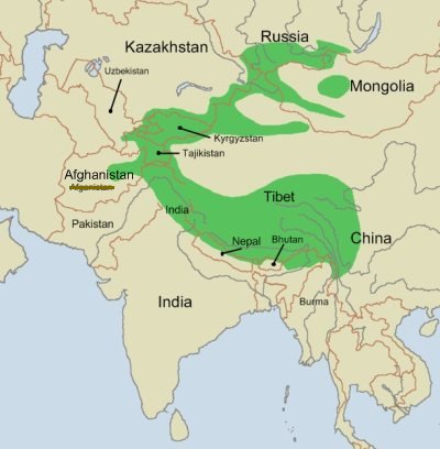 Snow White on Map Showing Snow Leopard Habitat In Asia  Map By Wikipedia